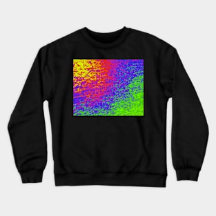 Color Band Crewneck Sweatshirt